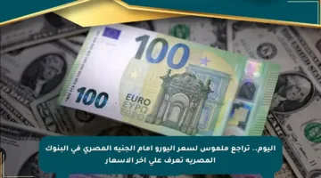 اليوم.. تراجع ملموس لسعر اليورو أمام الجنيه المصري في البنوك المصرية تعرف على آخر الأسعار